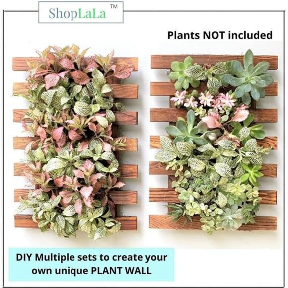 Wall Planter - 2 Pack Wooden Orchid Planter Frame Display Outdoor Plants - Picture 4 of 7